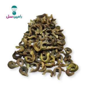 عکس بذر گل همیشه بهار