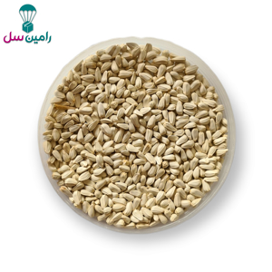 عکس بذر گلرنگ (کافشه) اصفهان