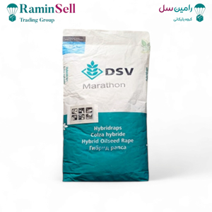 بذر کلزا ماراتن DSV (2024)