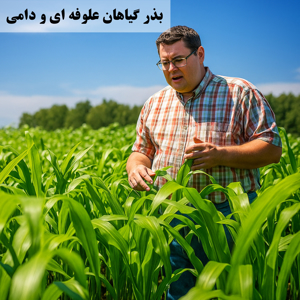 Picture for category Forage crop seeds