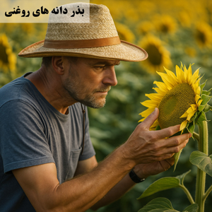 Picture for category Oil seeds